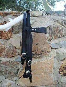 Border Tooled Western Headstall